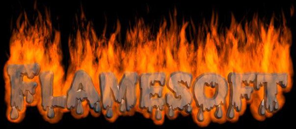 Flame Software